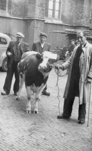 F46 Derk Janssen met koe
